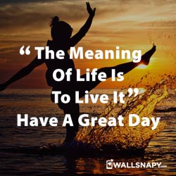 2019-good-morning-quote-db-free-download