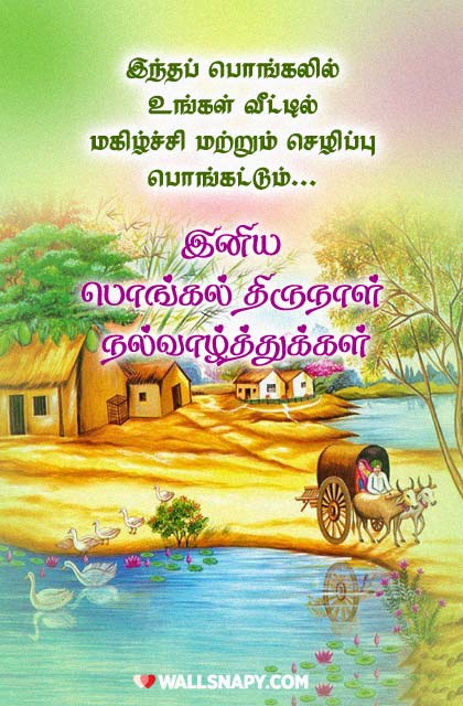 2023 pongal hd images wishes greetings in tamil - Wallsnapy
