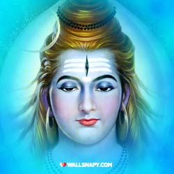 2023-top-dp-for-whatsapp-of-lord-shiva
