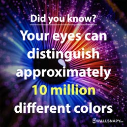amazing-facts-about-your-eyes-hd-status-image