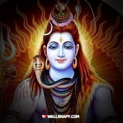 beautiful-lord-shiva-whatsapp-dp-images