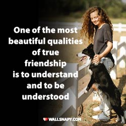 besr-touching-friendship-quotes-dp-images-for-whatsapp