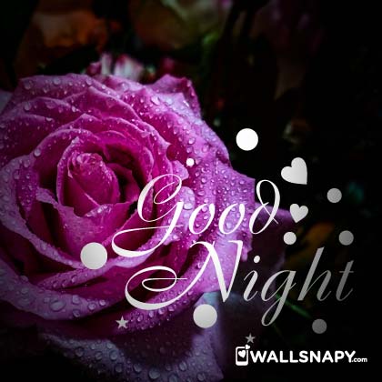 Best good night whatsapp hd images download - Wallsnapy