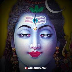 best-lord-shiva-whatsapp-dp-2023