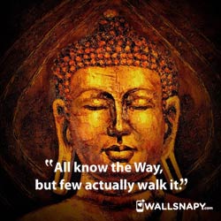 buddha-quotes-status-pics-download