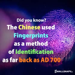 chinese-used-fingerprints-method-identification-as-far-back-as-700