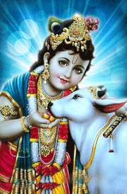 Hindu God Krishna Wallpapers Hd Images Of Lord Krishna With Radha Wallsnapy