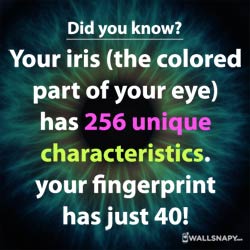 did-you-know-amazing-facts-about-eyes-share-images