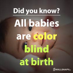 did-you-know-fact-about-baby-eyes-status-images