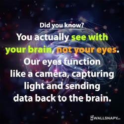 did-you-know-surprise-facts-about-eyes-hd-images
