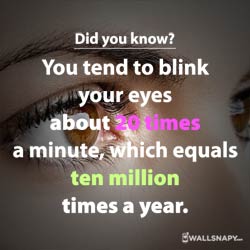 did-you-know-the-facts-about-eyes-status-images