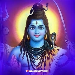 dp-images-of-lord-shiva