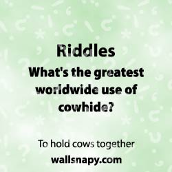 fun-riddles-with-answers-for-whatsapp