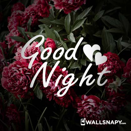 Goodnight images love hd dp download - Wallsnapy