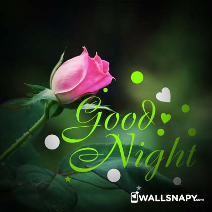 Goodnight rose love hd dp download - Wallsnapy