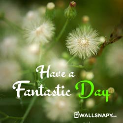 have-a-fantastic-day-dp