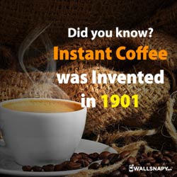 instant-coffee-was-invented-in-1901