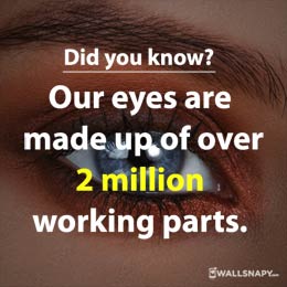 interesting-facts-about-eyes-for-kids-status-images