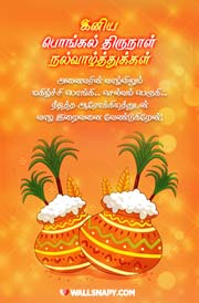 latest-pongal-festival-hd-photos-for-mobile