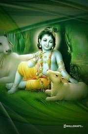 lord-kannan-cow-mobile-wallpapers-2019