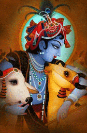 lord-krishna-with-cow-hd-painting-for-mobile
