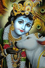 lord-krishnar-with-cow-hd-images