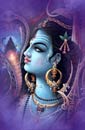 lord shivaa image collection.jpg