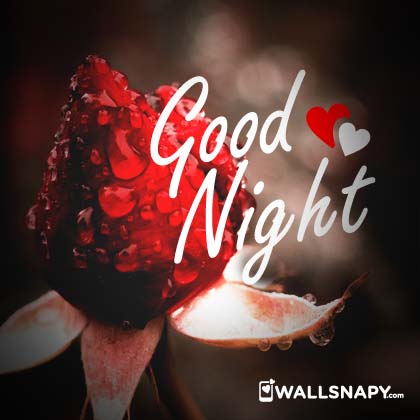 Love rose good night dp images - Wallsnapy