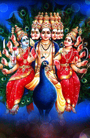 murugam-valli-deivanai-peacock-hd-image