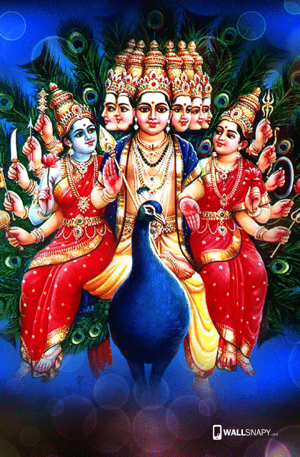 Murugam valli deivanai peacock hd image - Wallsnapy