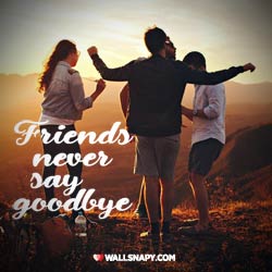 new-friends-dp-quotes-for-whatsapp-instagram