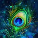 peacock peather background design collection.jpg