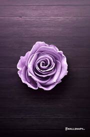 purple-rose-wallpaper-for-mobile-hd
