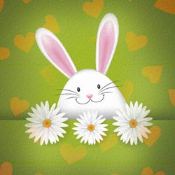 rabbits-flower-dp-images
