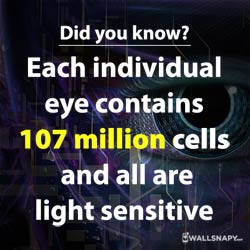 share-images-for-interesting-facts-about-eyes