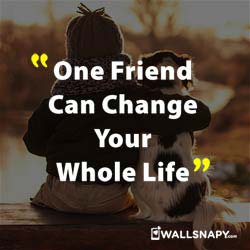 Best Whatsapp Dp and Status Hd Pic with Friendship Quotes - Wallsnapy