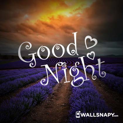 Sweet Good Night Love Images Download Wallsnapy