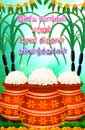 Pongal Festival Quotes with Images, Amazing Festival Wishes