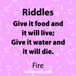 top-riddles-pictures-for-kids-with-answers