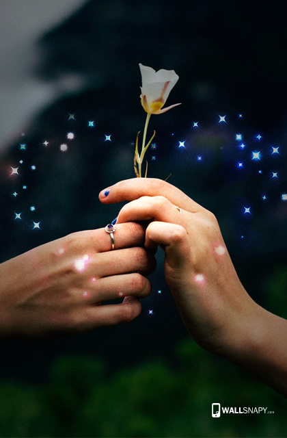 Two hands with rose lovers hd wallpaper - Wallsnapy