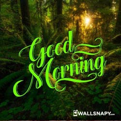 whatapp-good-morning-with-green