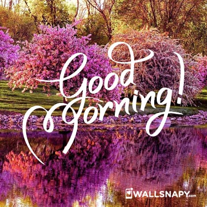 Whatsapp free download good morning hd images - Wallsnapy