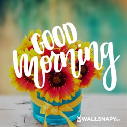 whatsapp-good-morning-flower-images-free-download