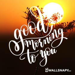whatsapp-good-morning-sun-rise-images-dp-free-download
