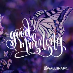 whatsapp-good-morning-wishes-images-hd